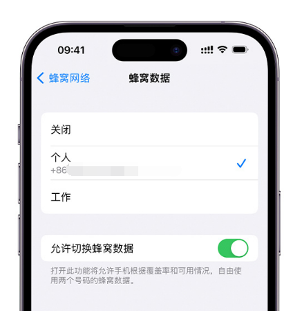 防城苹果维修服务分享如何在iPhone上使用双卡 